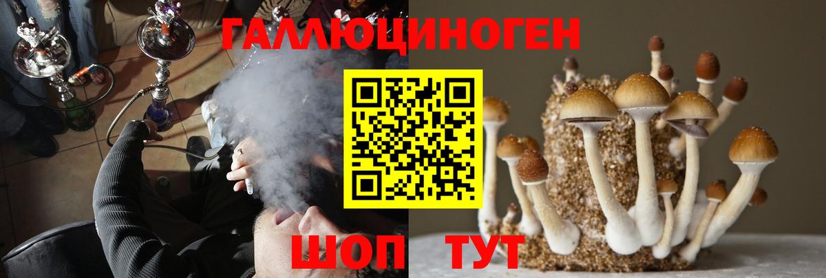 Видное  Псилоцибиновые грибы Magic Shrooms  Вход с VPN  где купить наркотик  Галлюциногенные грибы MAGIC MUSHROOMS 